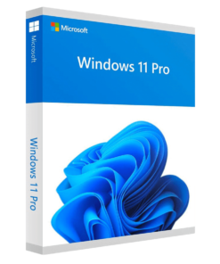 Microsoft Windows 11 Pro