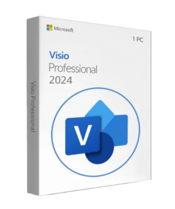 Licenza Visio 2024 Professional - Lo Shop Elettronico